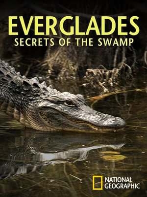 cover image of Everglades: Secrets of the Swamp